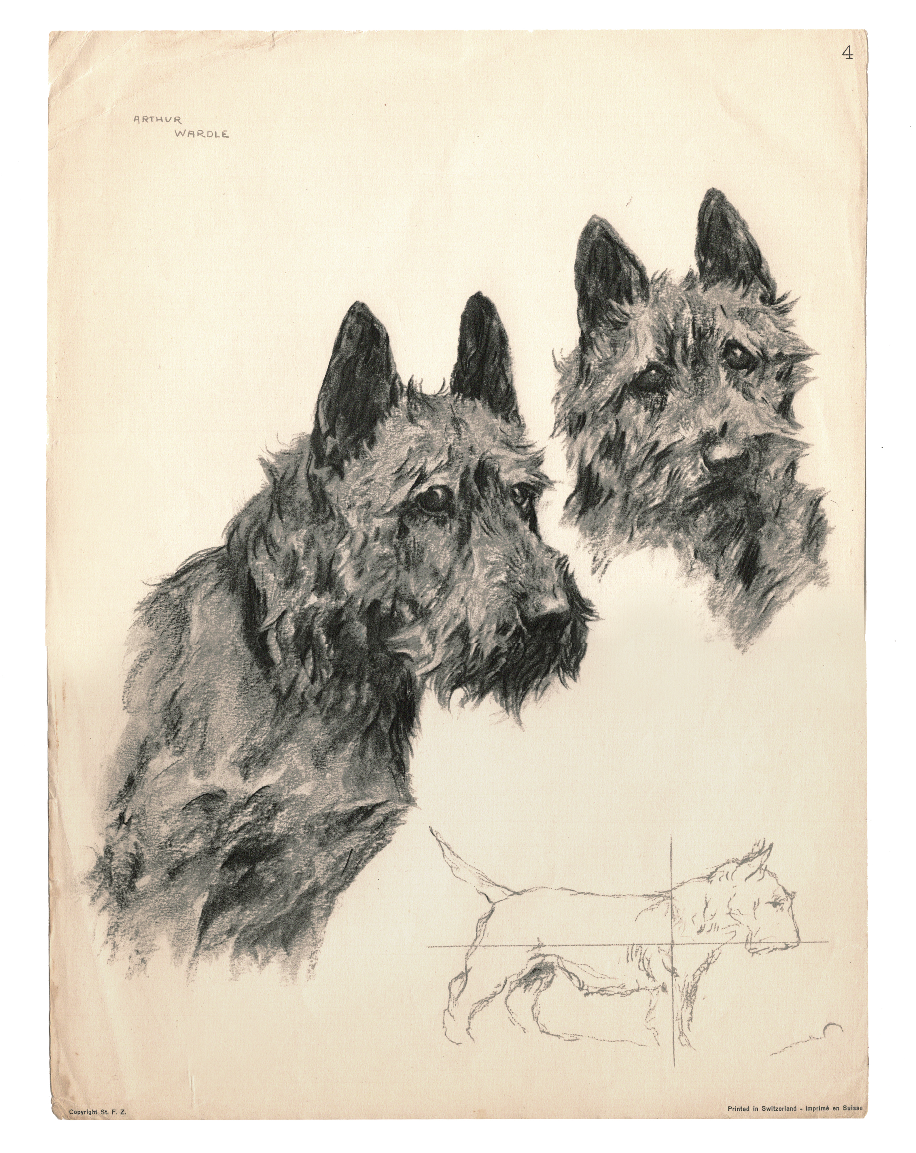 1930s Swiss Print of Scotty Dog Drawing~P77669539