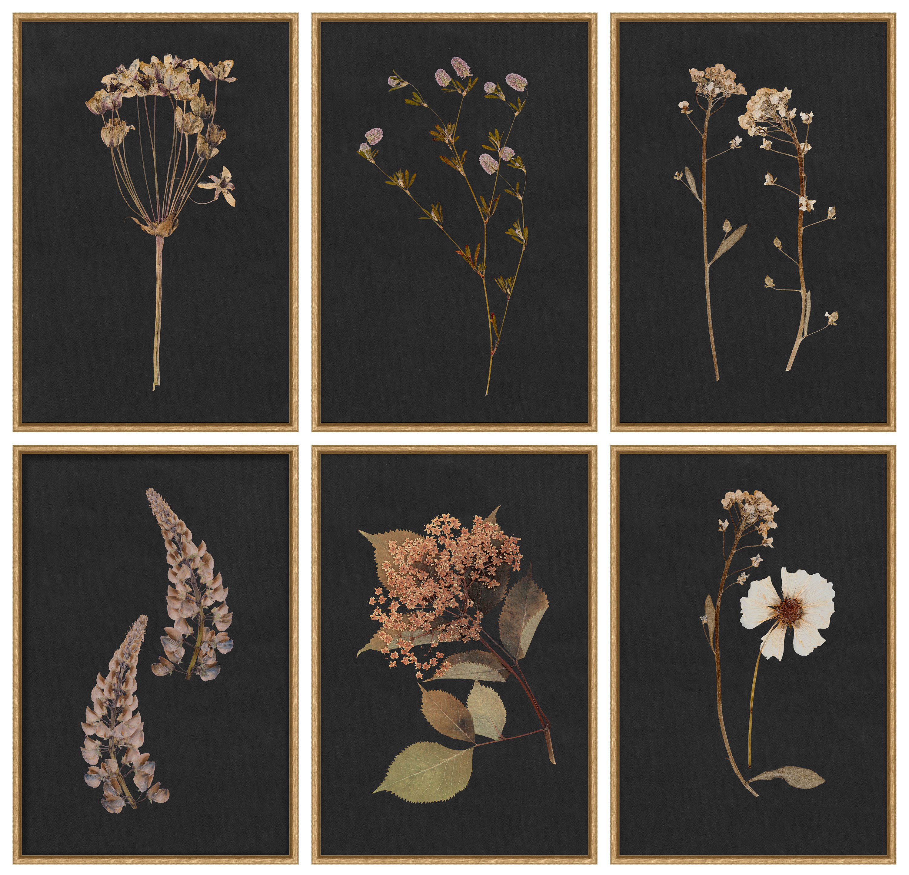 絵画◇Ruth Baderian ルース・バデリアン◇額縁セット 絵画◇Ruth Baderian ルース・バデリアン◇額縁セット