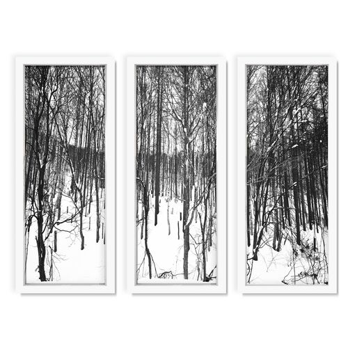 Pascal Shirley, Winter Forest I Triptych~P77317256