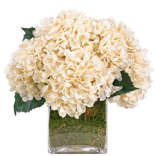 Hydrangea with Moss in Glass Cube, Faux