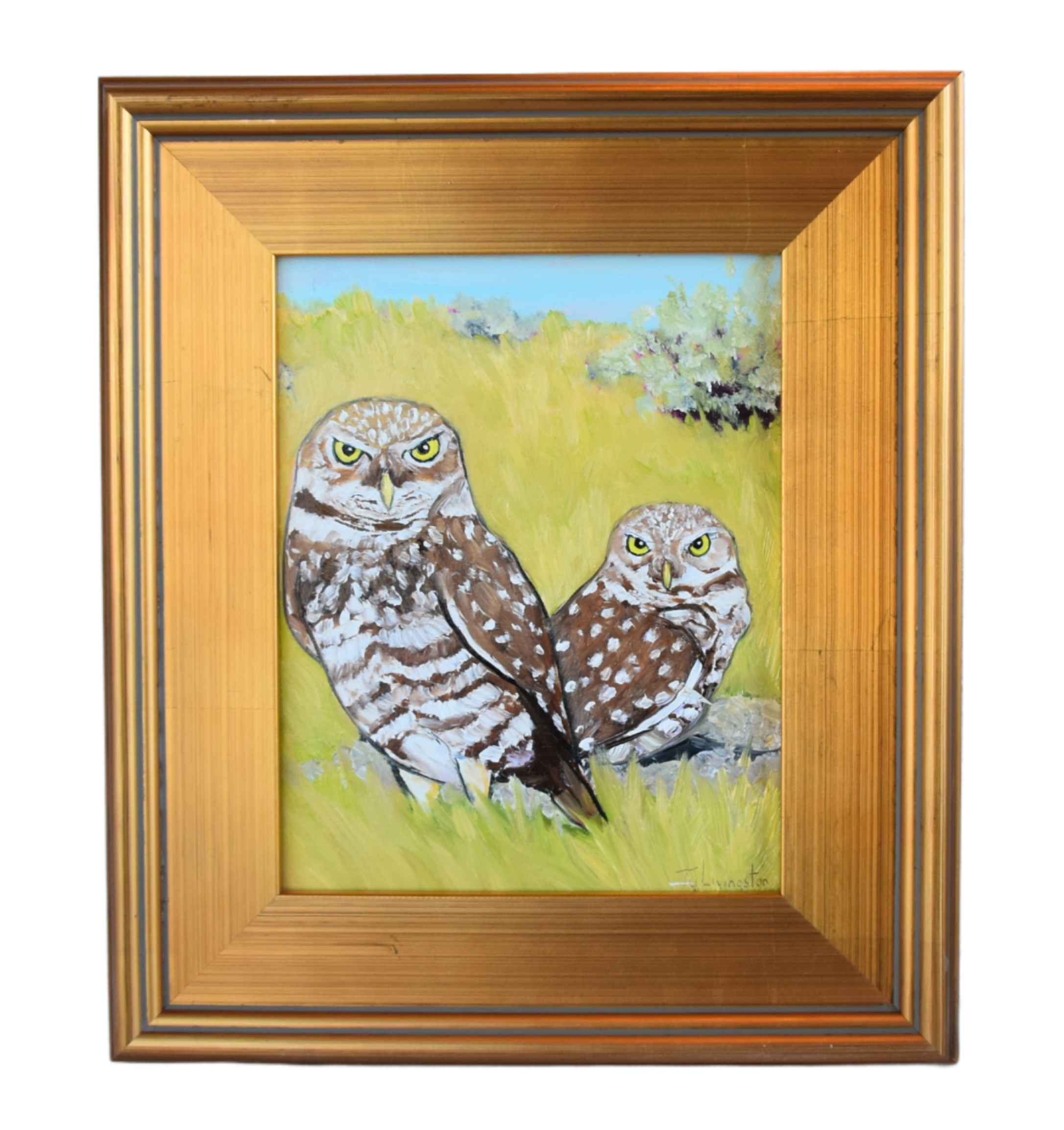 Rocky Mountains Pair of Owls Painting~P77665761
