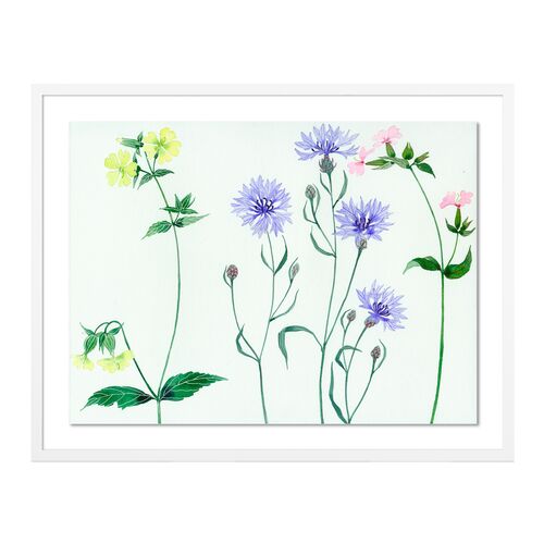 Gabby Malpas, Meadow Flowers 2 Gabby Malpas, Meadow Flowers 2