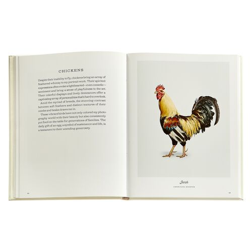 Farm Life: A Collection of Animal Portraits by Randal Ford Farm Life: A Collection of Animal Portraits by Randal Ford