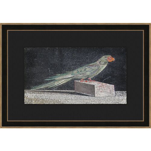 Mosaic Parakeet~P77519435