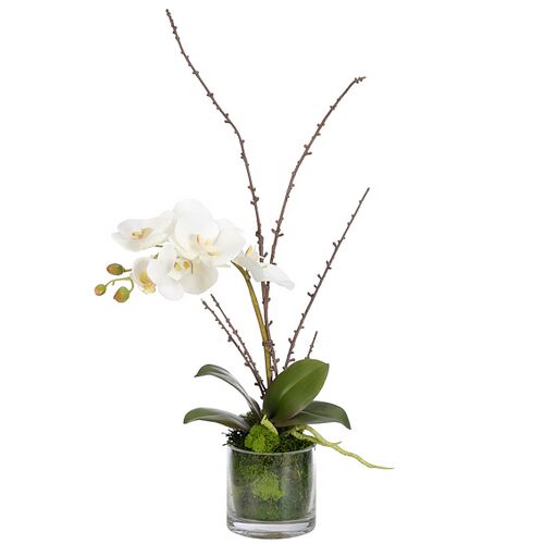 21" Orchid Phalaenopsis in Glass Cylinder, Faux