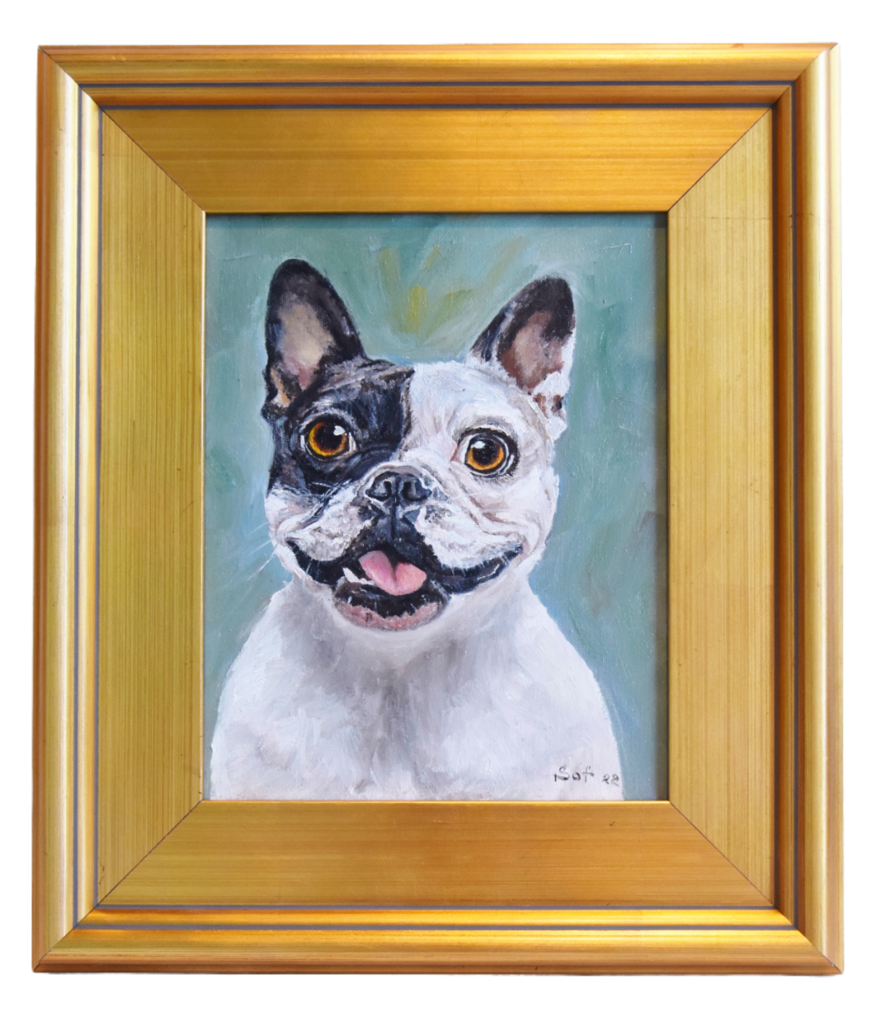 Original Bulldog Frenchie Dog Portrait~P77663281
