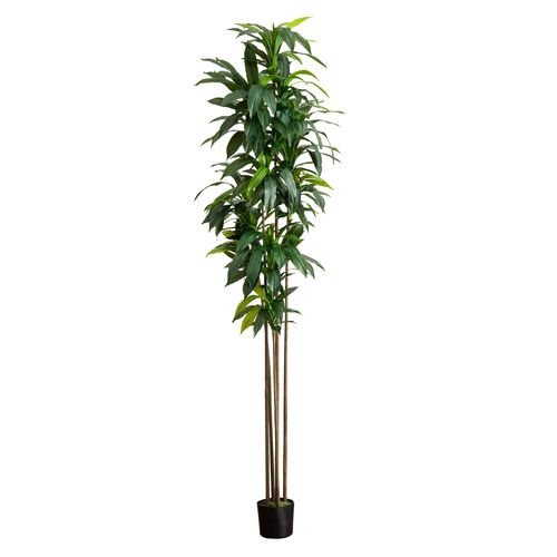 10ft. Artificial Dracaena Tree with Real Touch Leaves