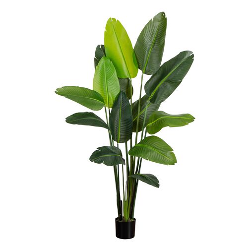 6ft Faux UV Resistant Indoor/Outdoor Travelers Palm Tree