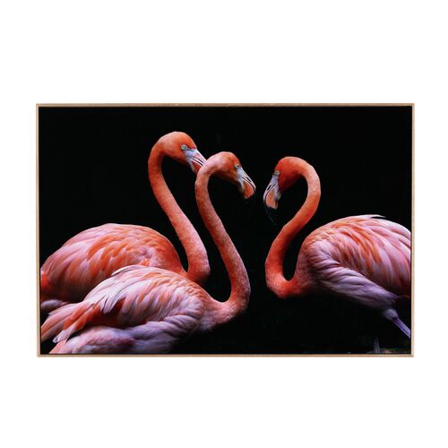 Getty Images, Three Flamingos