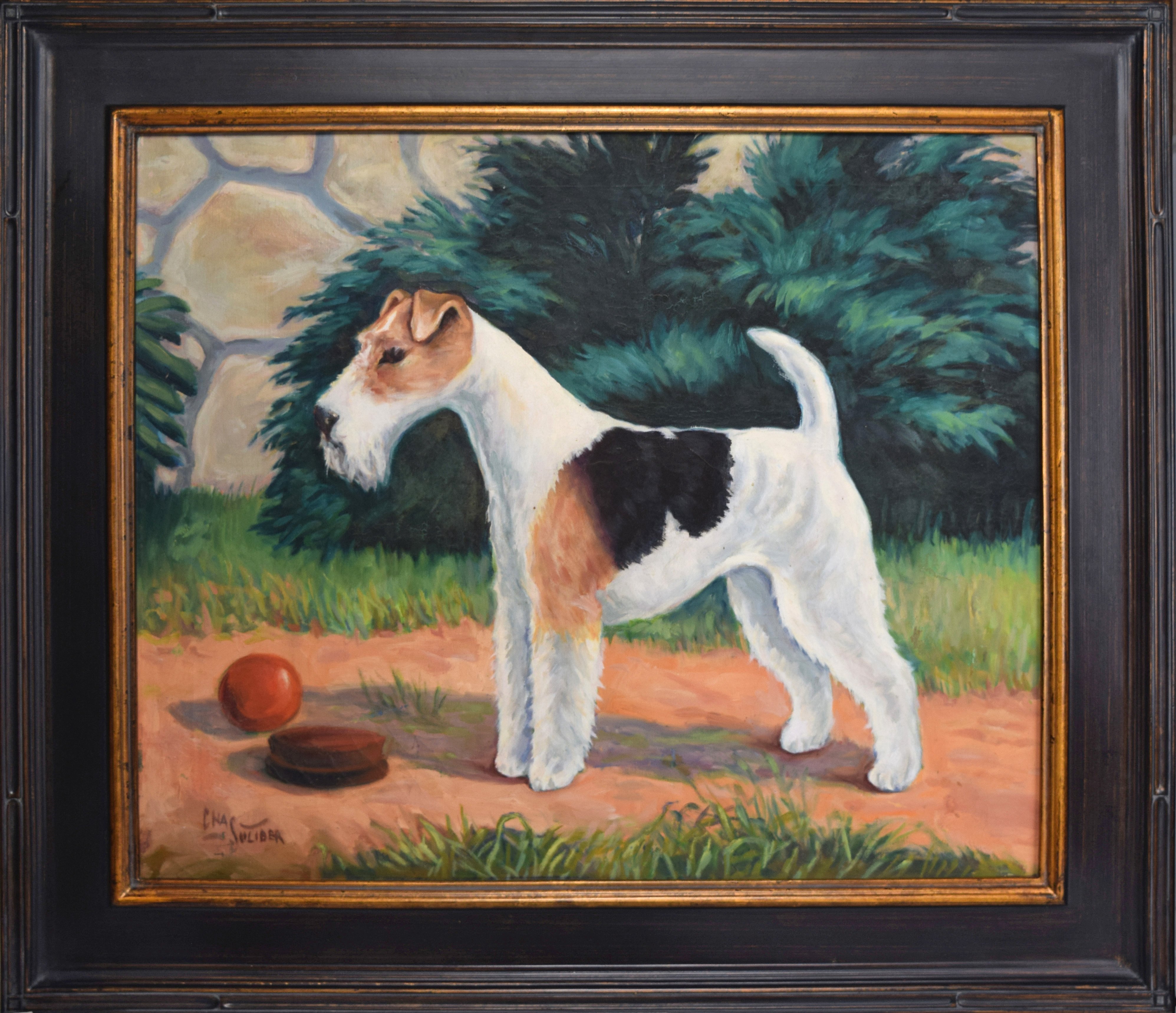 Wirehair Fox Terrier Dog Portrait C.1920~P77608924