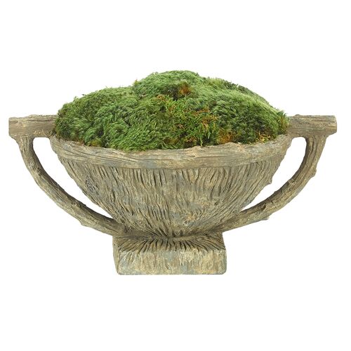 16" Moss Mound in Faux Bois Bowl, Preserved~P77560317