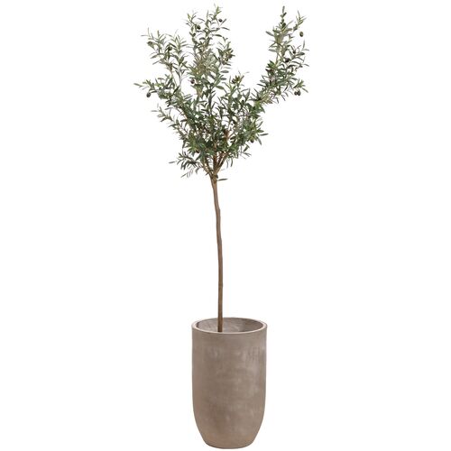 8' Olive Tree in Cement Planter, Faux 8' Olive Tree in Cement Planter, Faux