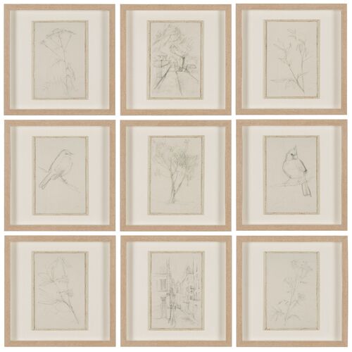 S/9 Sketch Collection Framed Art Prints S/9 Sketch Collection Framed Art Prints