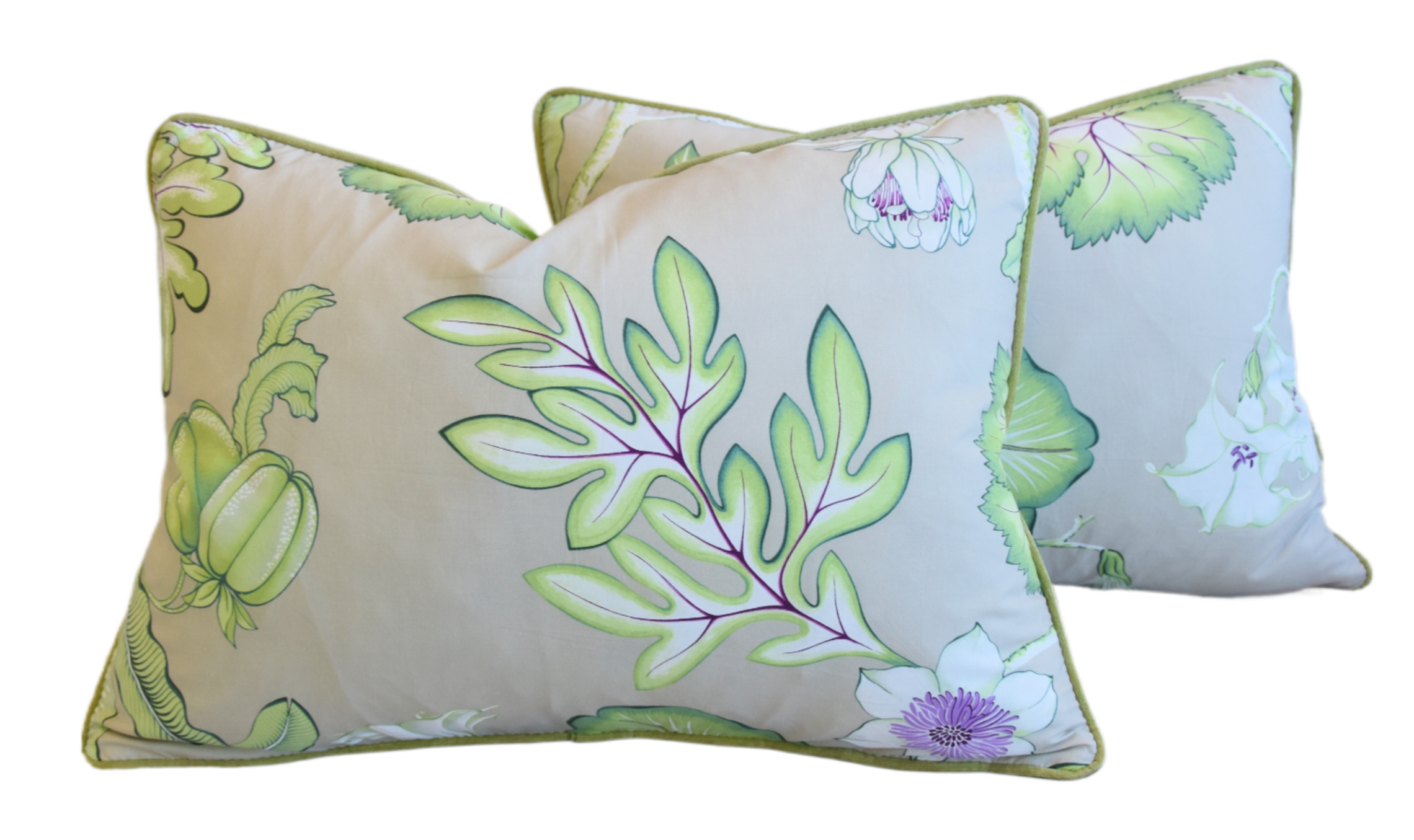 Manuel Canovas Botanical Pillows, S/2~P77678862