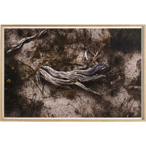Bough by Shade Degges