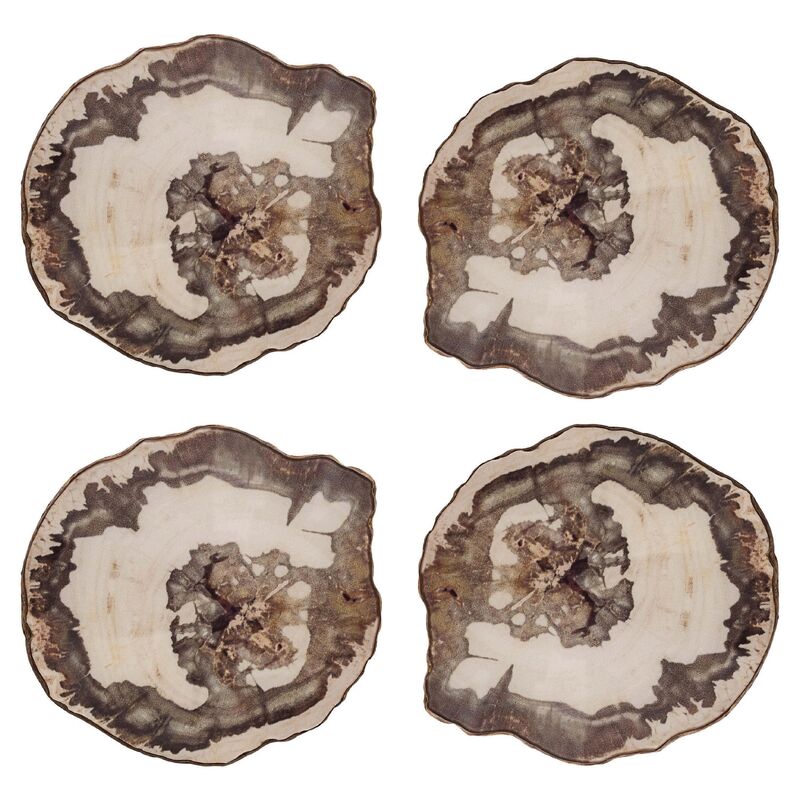 S/4 Petrified Coasters, Natural/Multi