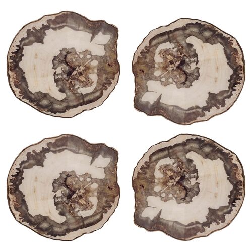 S/4 Petrified Coasters, Natural/Multi~P77397170