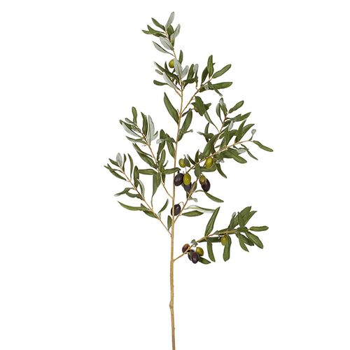 Olive Leaf Stem, Set of 12 Olive Leaf Stem, Set of 12