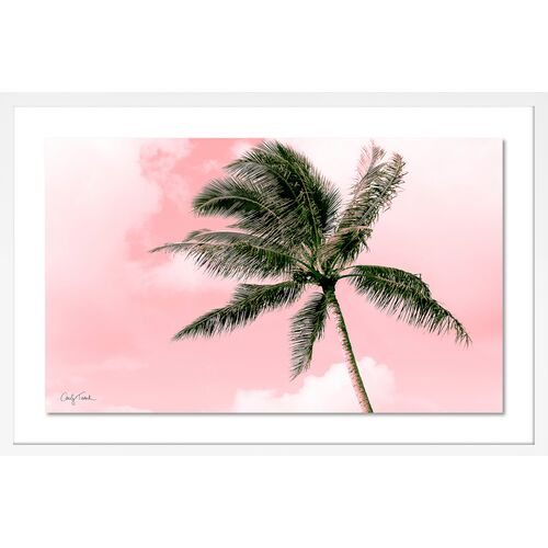 Carly Tabak, Electric Pink Palm~P77617664