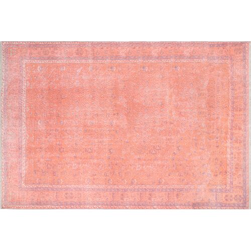Andi Rug, Coral