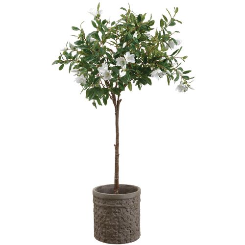 Azalea in Planter, Faux