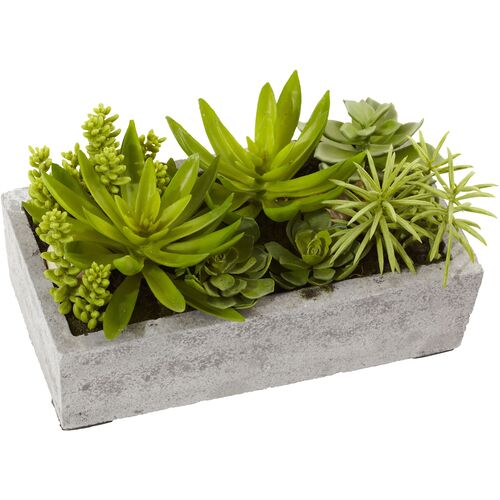 6.5" Faux Succulent Plant~P111113156