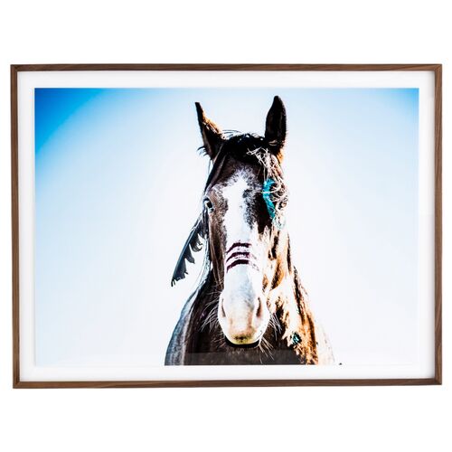 36" x 48" War Horse Photograph, Walnut Frame 36" x 48" War Horse Photograph, Walnut Frame