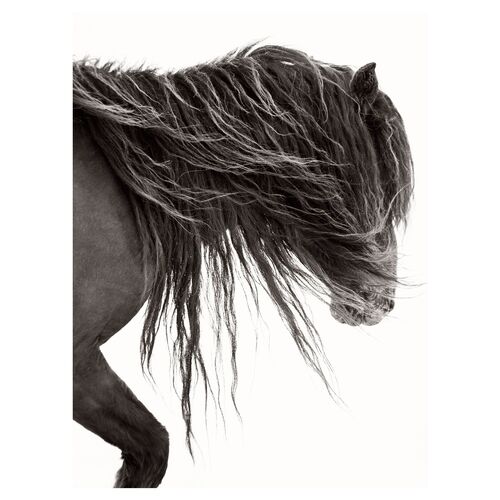 Wind Blown