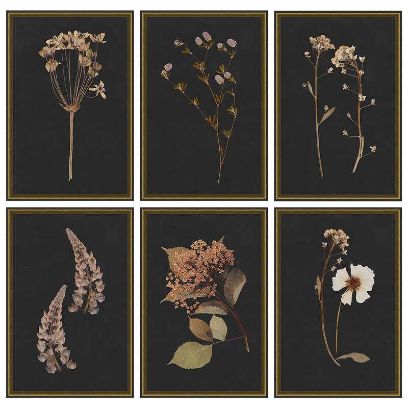 Lauren Liess, Moody Botanical Set