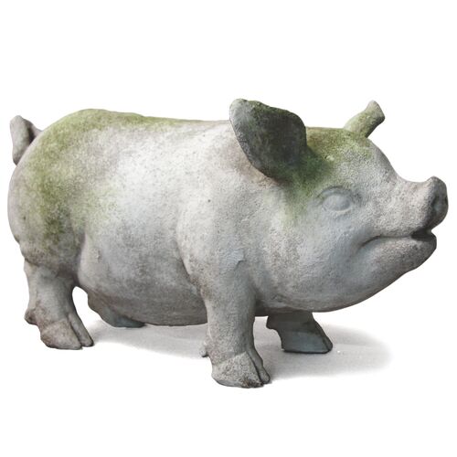 18" Pot Belly Pig, White Moss~P76231993