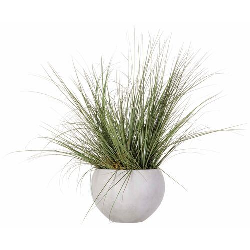 44" Wild Grass in Cement Pot, Green