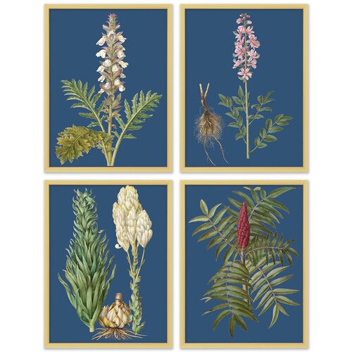 S/4 Navy Flower Lithographs~P77530027