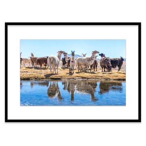 Richard Silver, Llamas by the Pond, Uyuni~P77406605