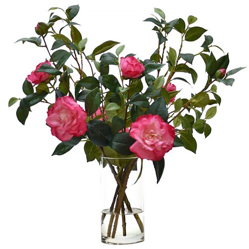 22" Camellia in Glass Cylinder Vase, Faux