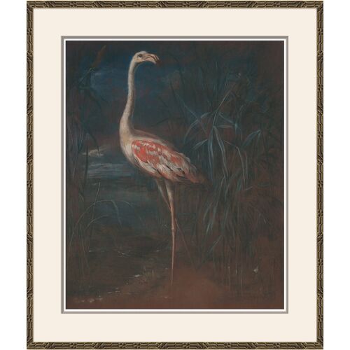 Elegant Flamingo~P77636484
