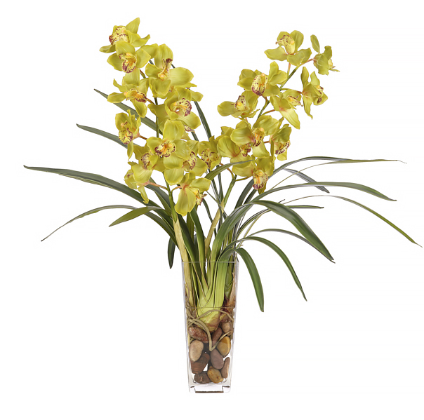 32" Orchid Cymbidium in Glass Square Vase, Faux