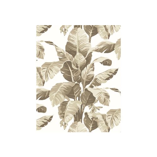 Pacifico Palm Wallpaper, Cappuccino~P77450582~P77450582