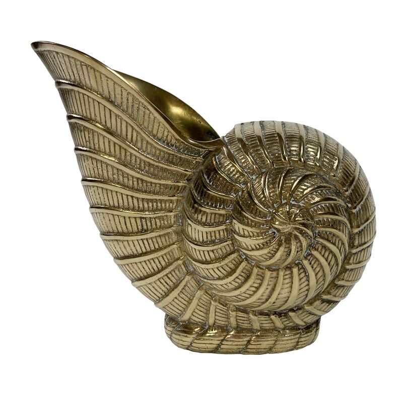 Brass Nautilus Shell Planter