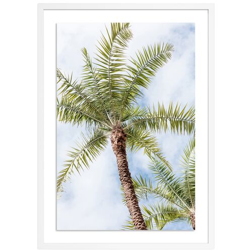 Palm Beach Palms - Palm Beach, Florida by Carly Tabak~P111122171