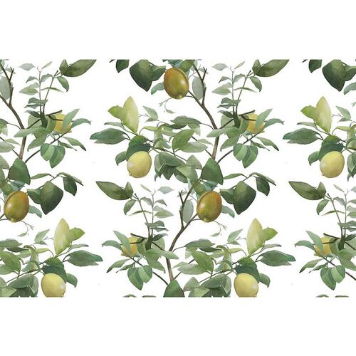 Helen Strom Med. Lemons Wallpaper, White~P77605215