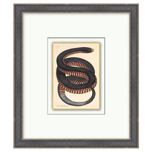 Crimson Sided Snake, Gold Leaf~P77244505