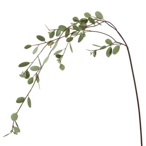 46" Seedd Eucalyptus Long Brand, Set of 12 46" Seedd Eucalyptus Long Brand, Set of 12