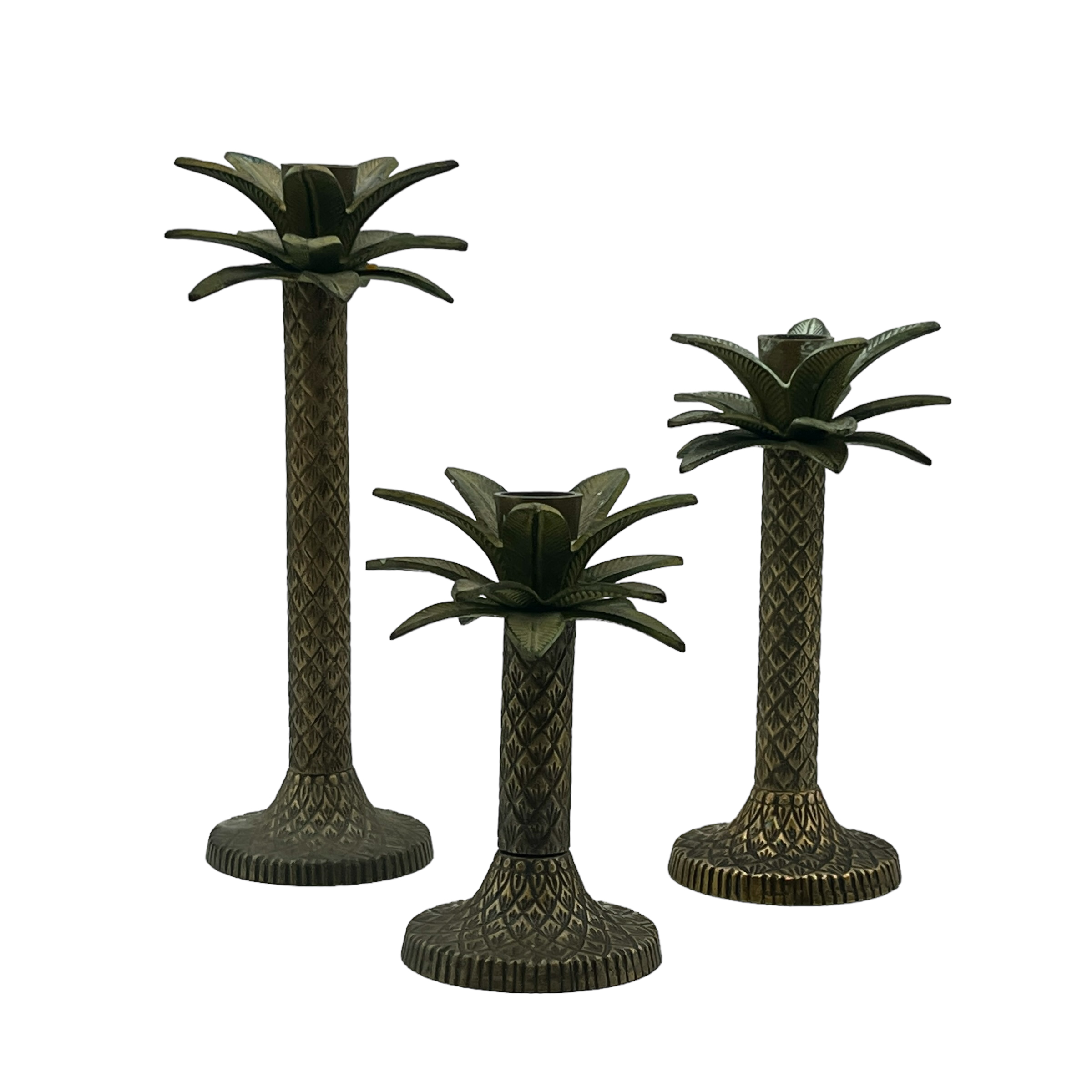 C. 1970s Palm Candle Holder Trio~P77669518