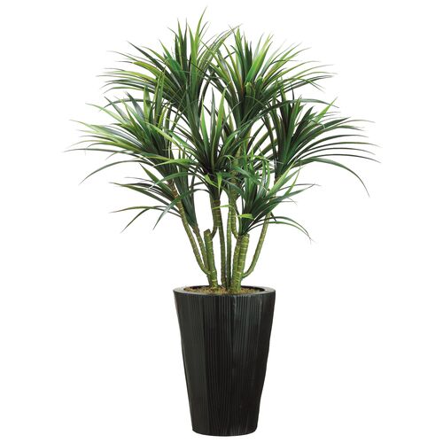 54" Dracaena Plant, Faux~P77454129