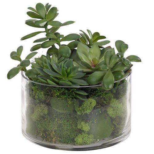 10" Succulent with Moss in Glass Vase, Faux