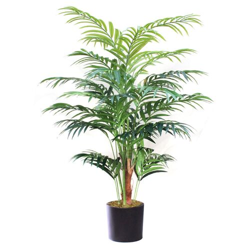 96" Kentia Palm Tree w/ Black Vessel, Faux~P77469536