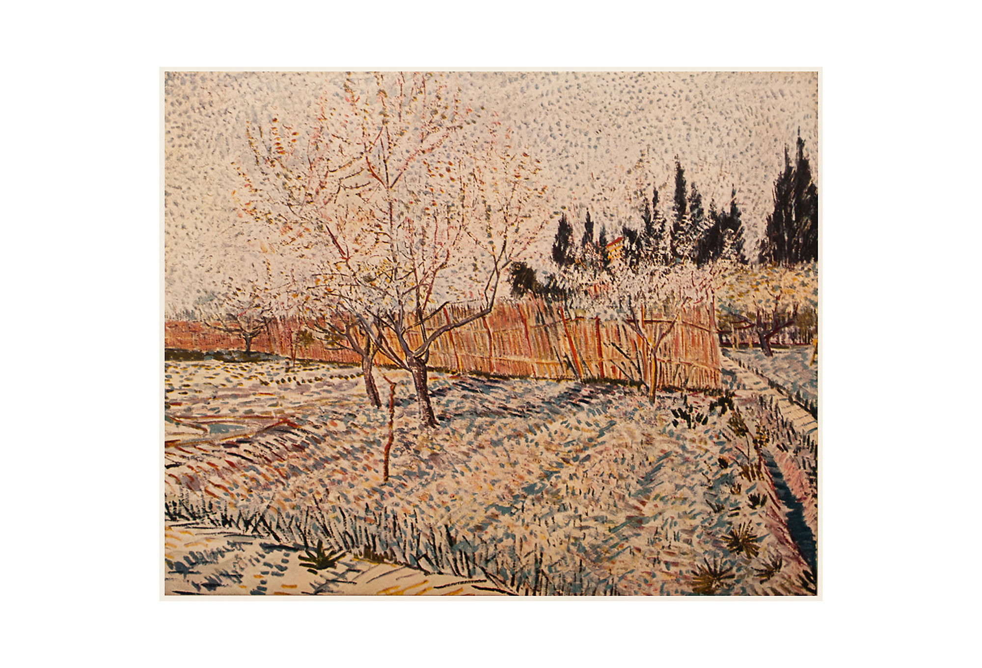 1950s Van Gogh, Orchard, Springtime~P77537234