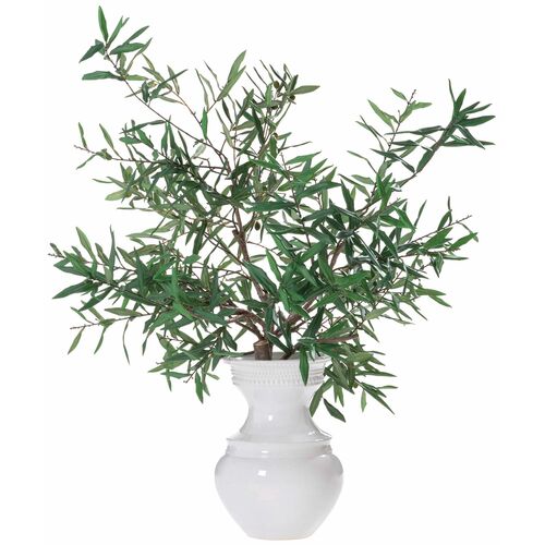 44" Olive Branch in Ceramic Vase, Green