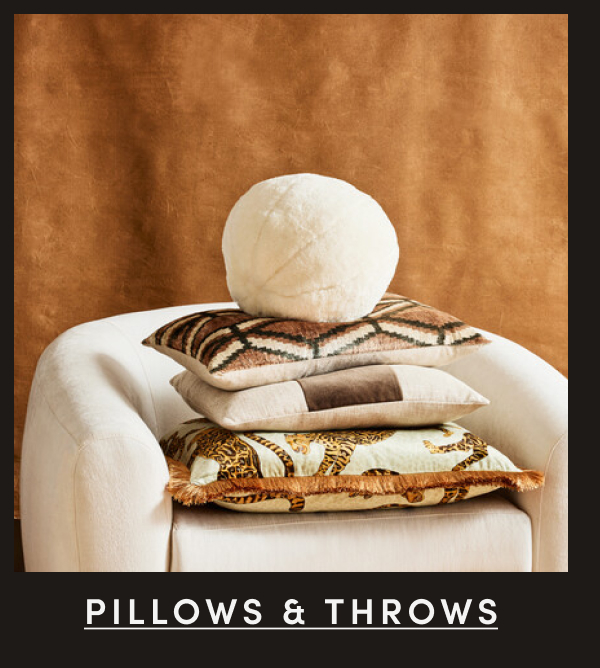 Shop Pillows and Throws